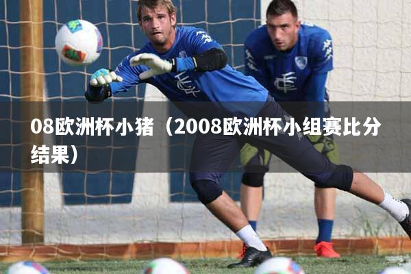 08欧洲杯小猪(2008欧洲杯小组赛比分结果)
